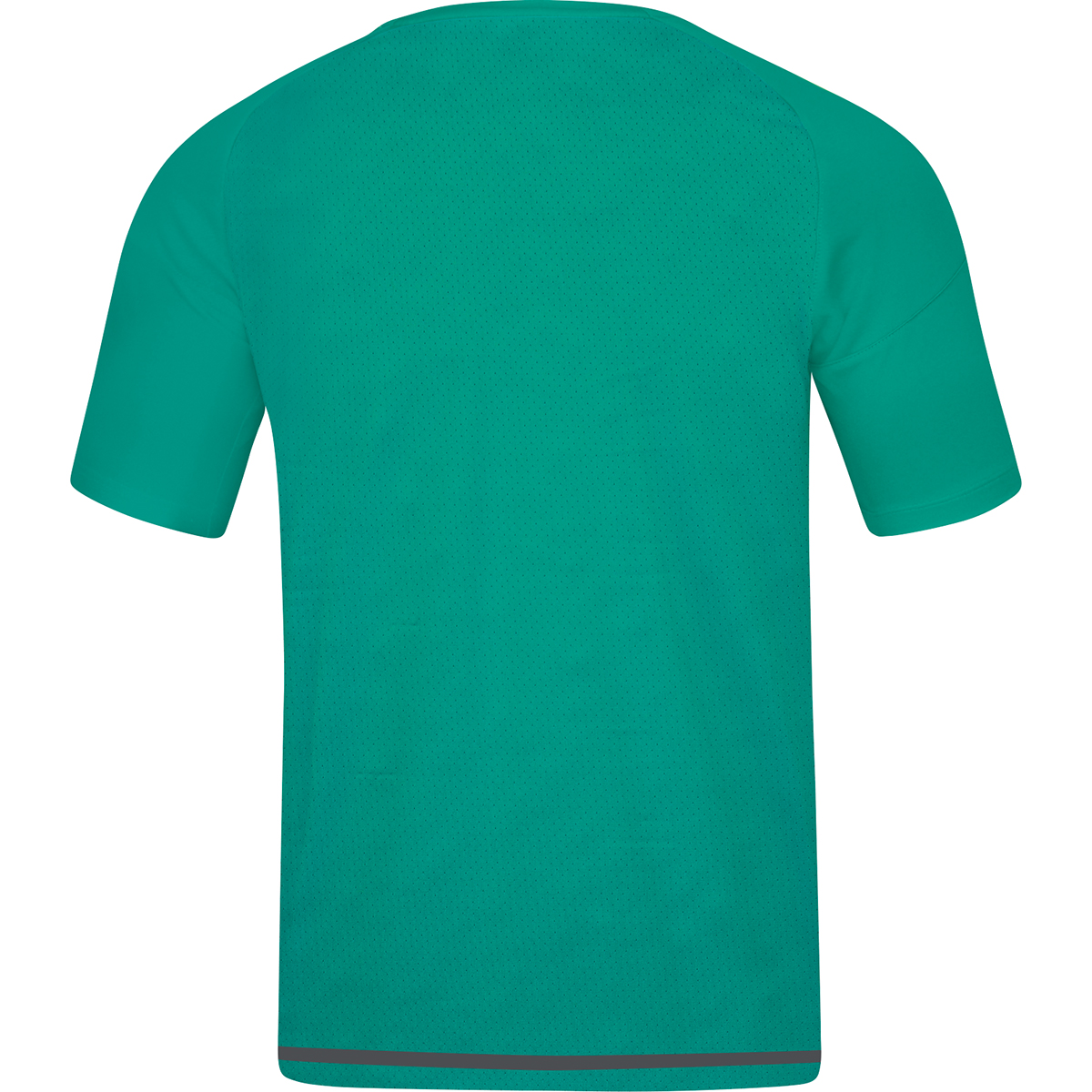 Jako Trikot Striker 2.0